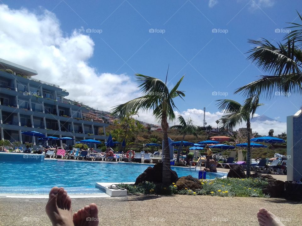 vacation pool landscape