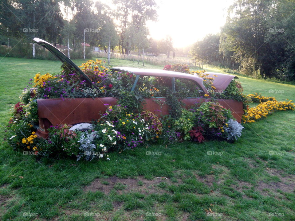 Old Car's Flower Garden
