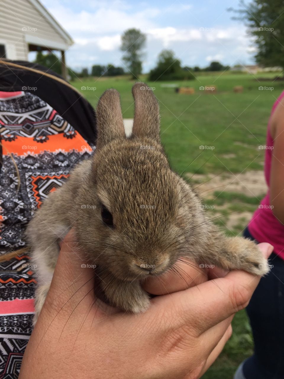 Sweet bunny. This little guy is so soft and fuzzy