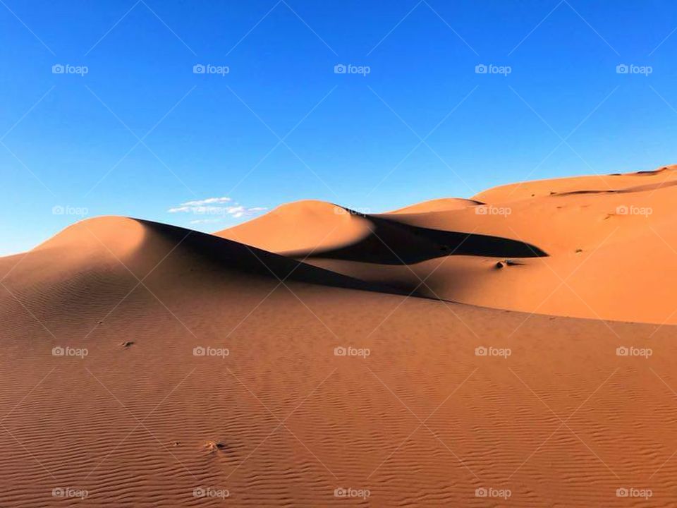 Morocco Sahara