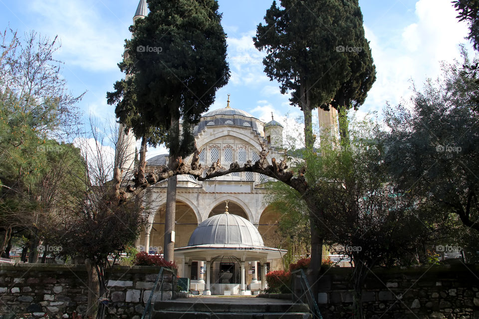 View of a mosque and trees