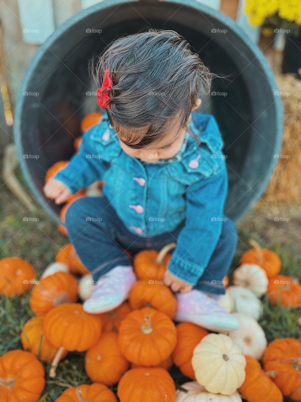 Baby girl sits atop a pile of pumpkins, baby girl at the pumpkin patch, picking pumpkins from the farm, baby’s first Halloween, fall time fun with kids, baby pumpkins with a baby girl 