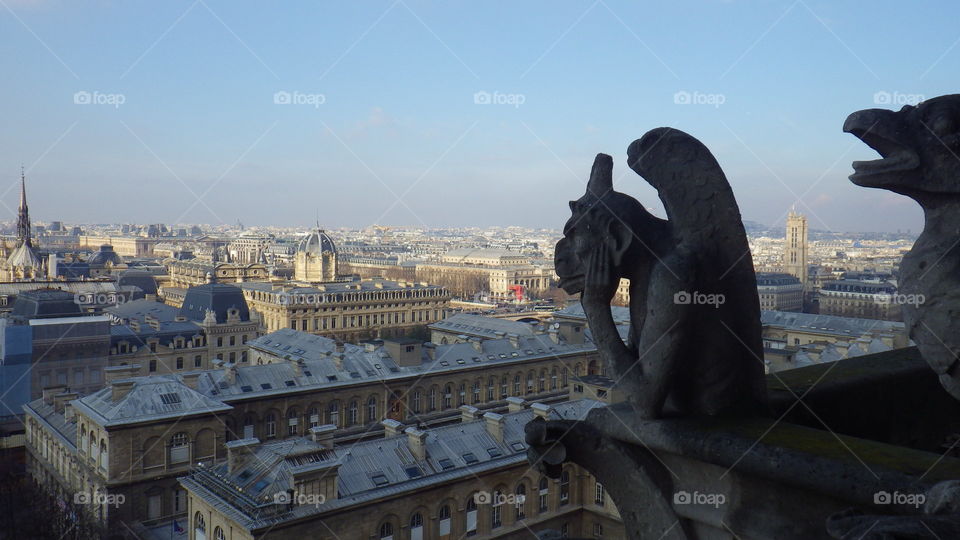 Gargoile of Notre Dame. Gargoile of Notre Dame Cathedral in Paris, France overlooking the city.