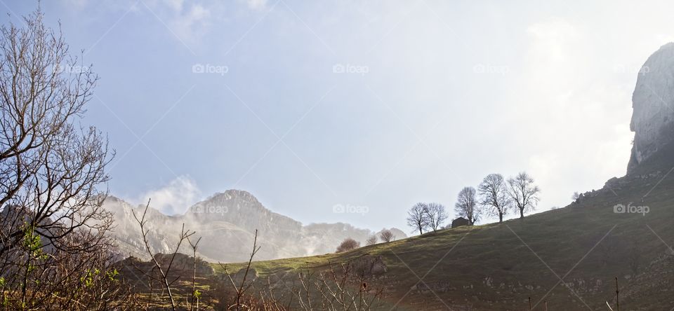 Morning Fog in the mountain 