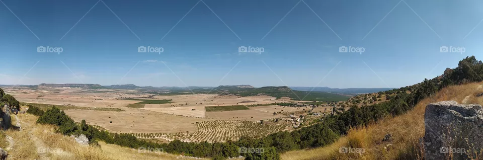 field