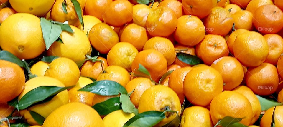 oranges