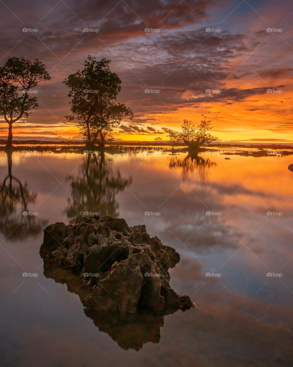 Beautiful Sunset And Reflection Tree