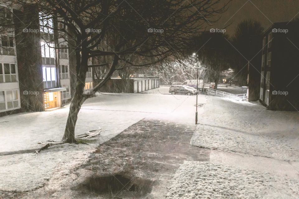 Snowy night