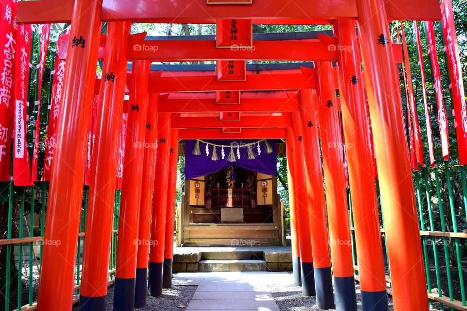 Torii gates of Inari shrine