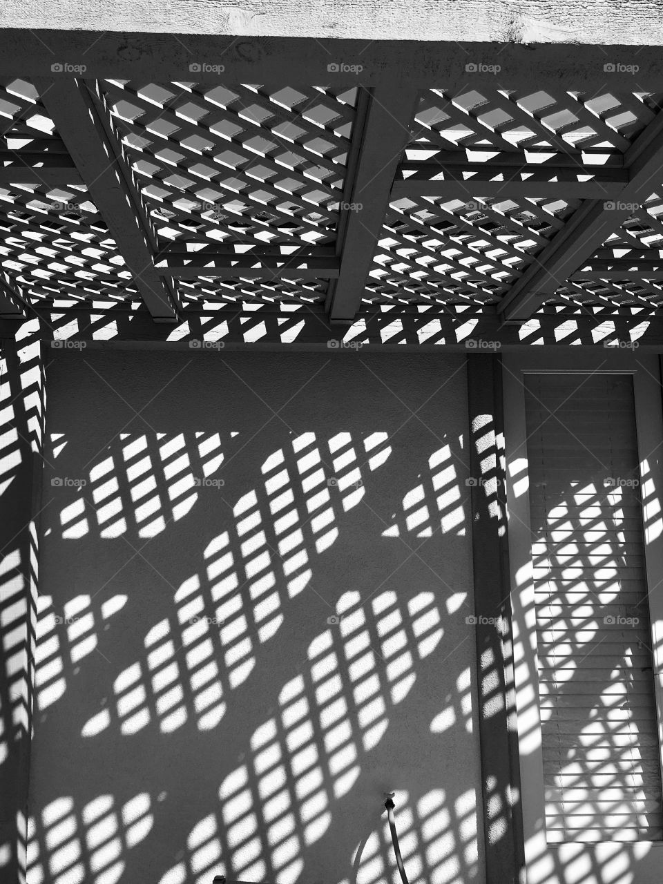 Trellis shadows 
