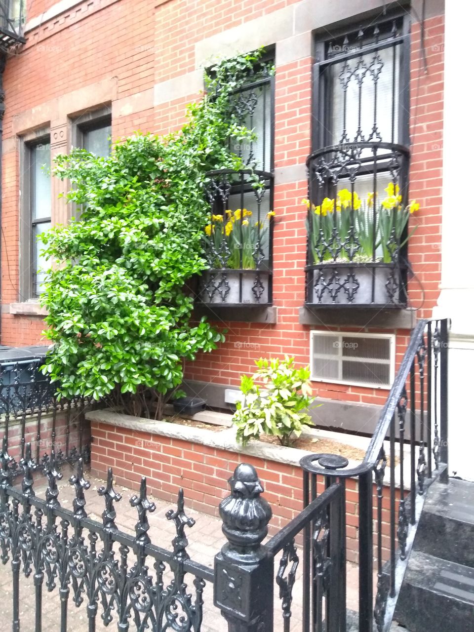 Building with Flowers and Ivy