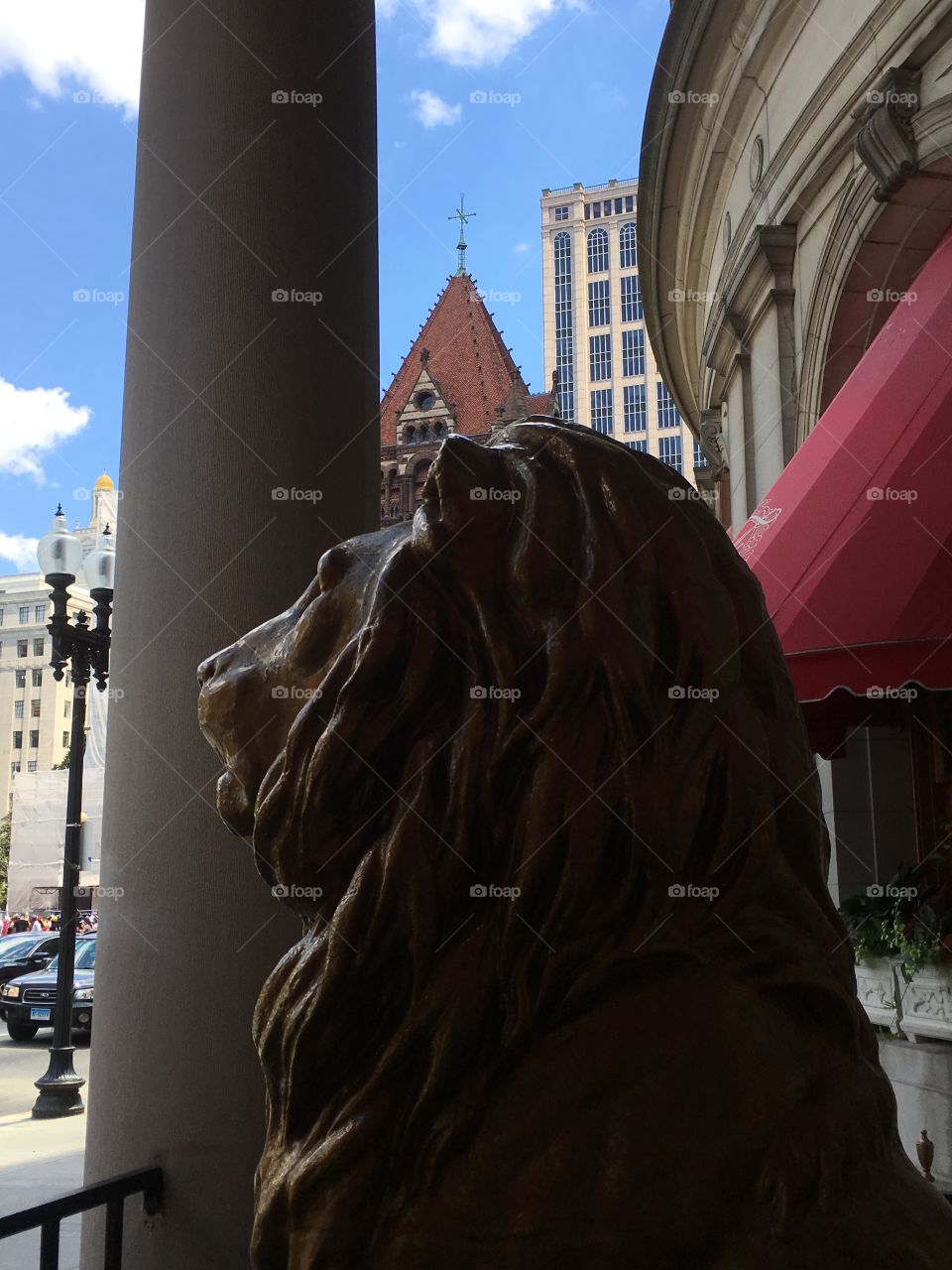 Lion  spotted  at Copley Square - Boston