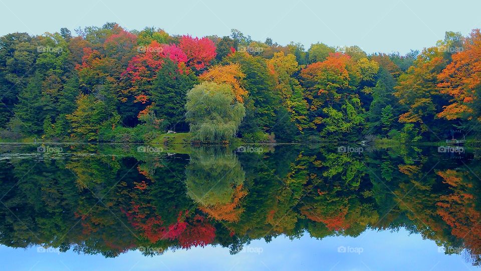 reflection 
lake 
pond 
fall