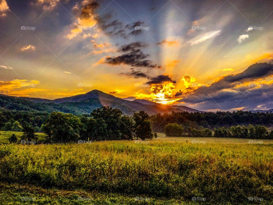 Sunrise in Cades Cove in the Great Smoky Mountains of Tennessee 