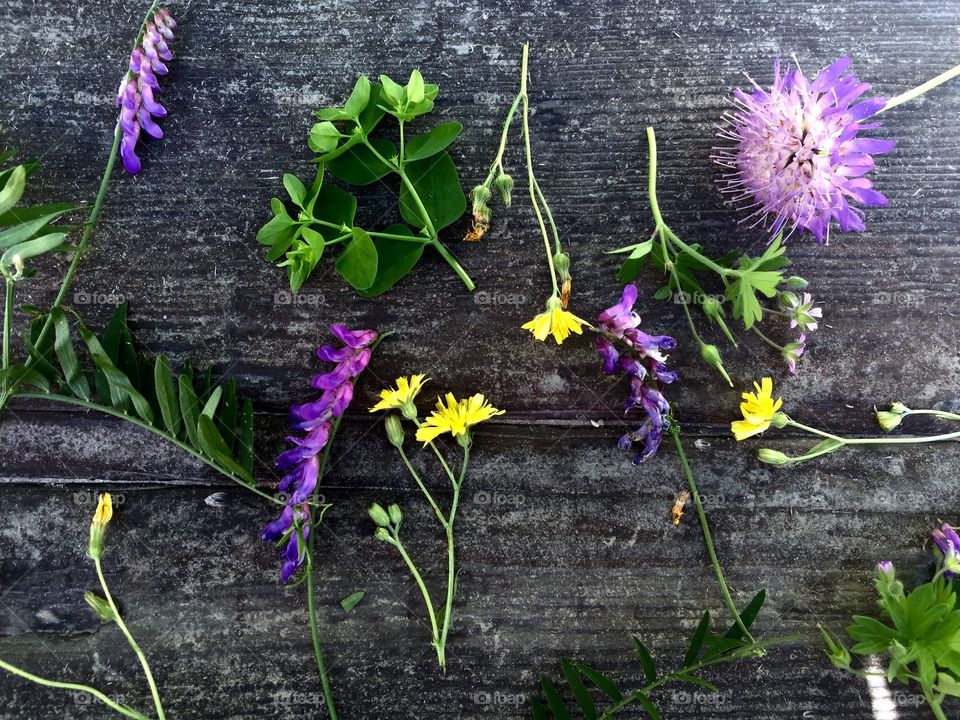 Variety of flowers on wooden table