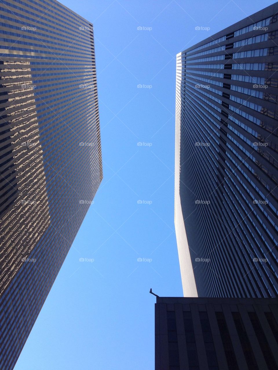 New York City Skyscraper 