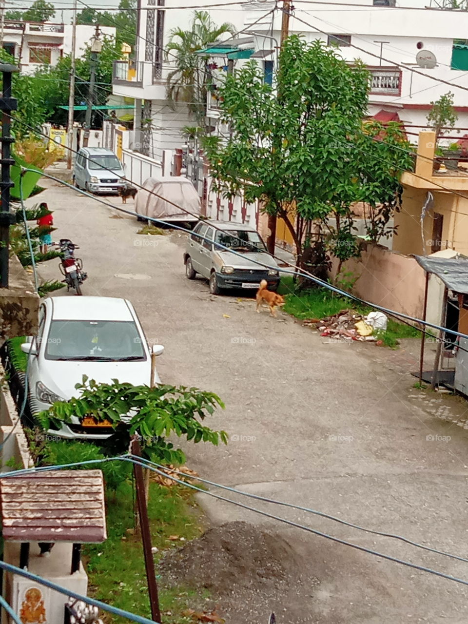 A street view in the evening