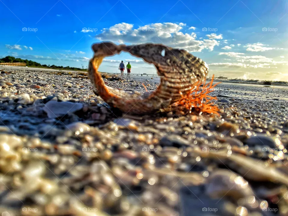 Walk on the beach