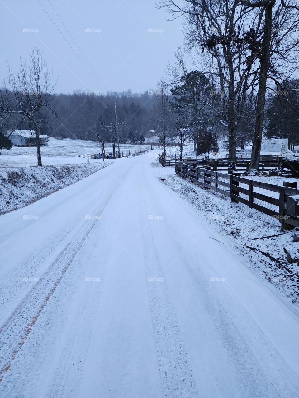 winter tennessee whit Christmas