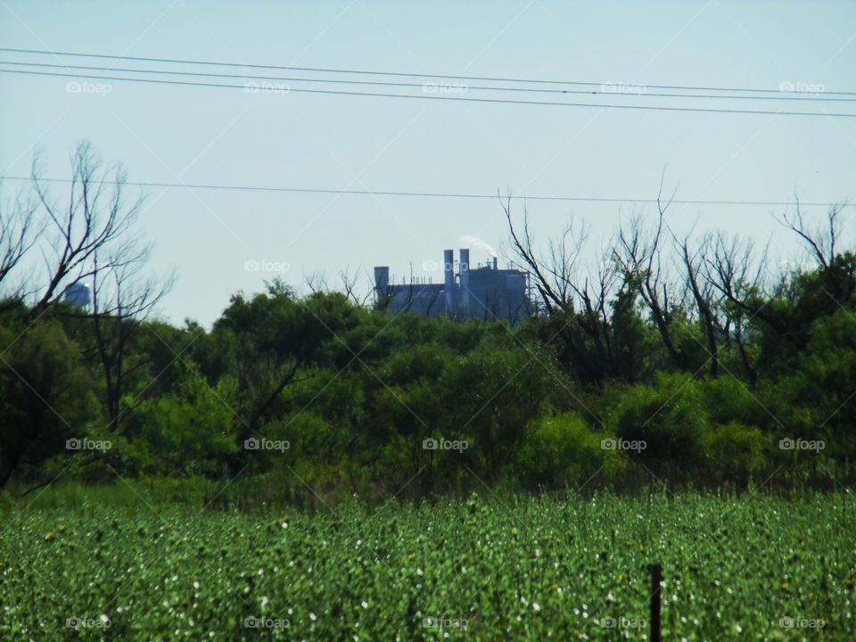 power plant 🌿. This is the power supply for Graham Texas that I visited last week and I went by it this weekend