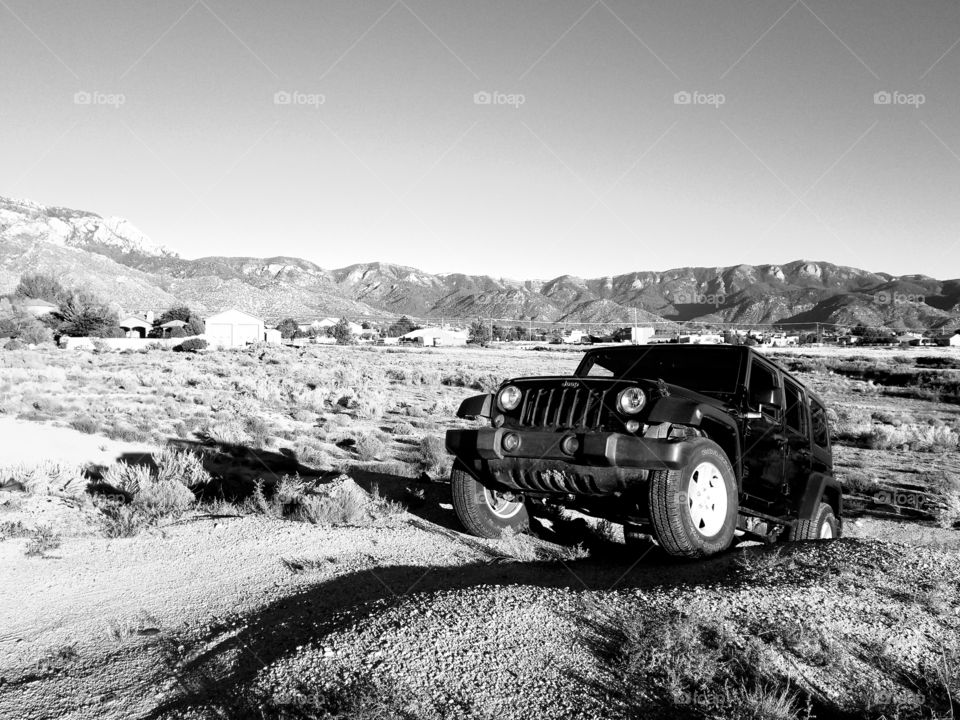 wrangler in its natural habitat