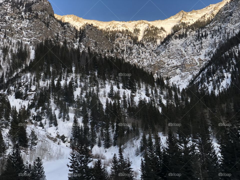 Scenic mountains covered in evergreens and snow.