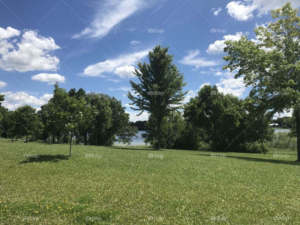 Tree and lake view!!
