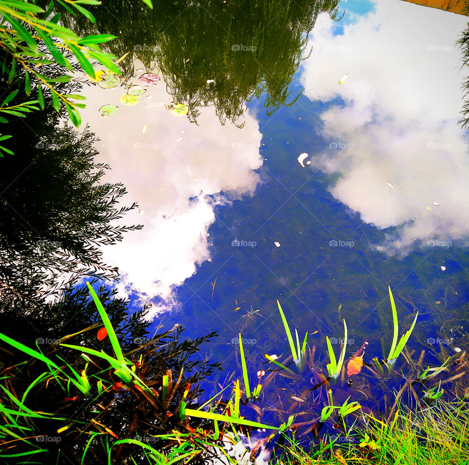 The smooth surface of the water in which treetops and clouds are reflected