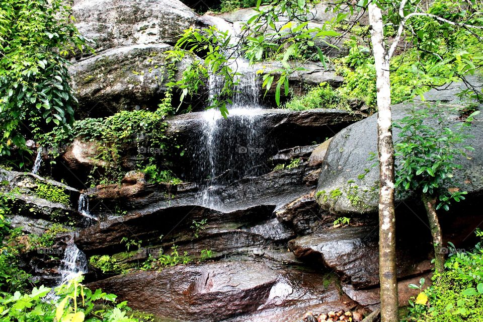 small water fall in the forest