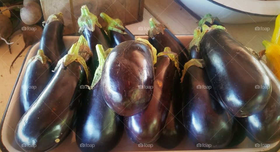 eggplant