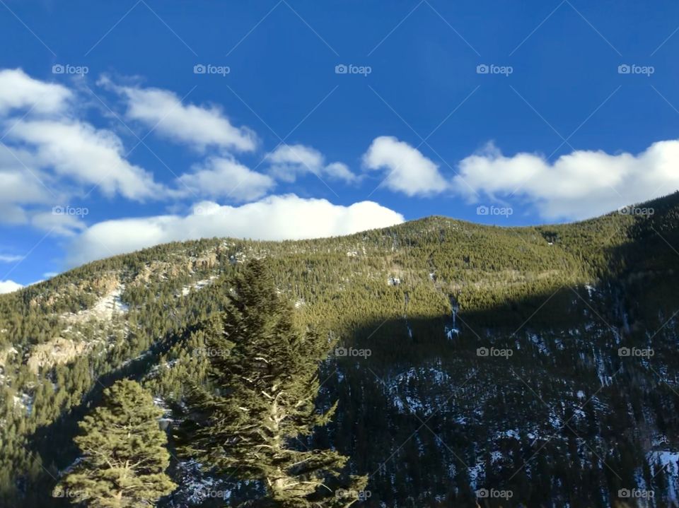 Forested mountainside in autumn.