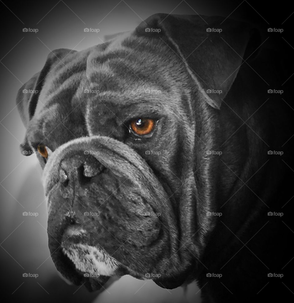 Staring out the window 