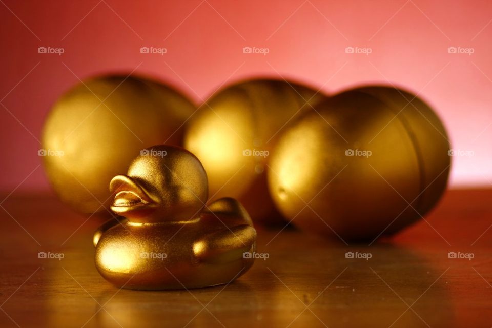 golden eggs and a golden duckling