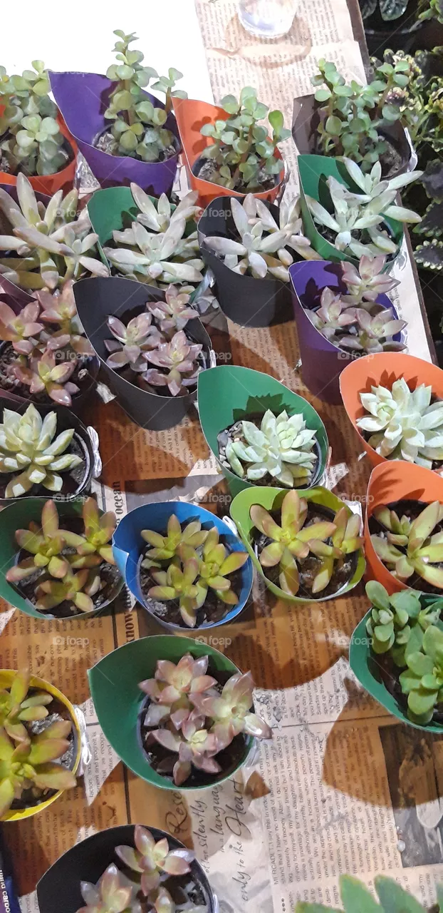 color