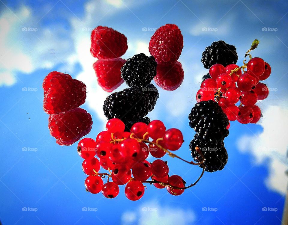Berries are a treasure trove of vitamins and energy. Red raspberries, black blackberries and bunches of red currants lie on a mirror surface, from which berries and a blue sky with white clouds are reflected.