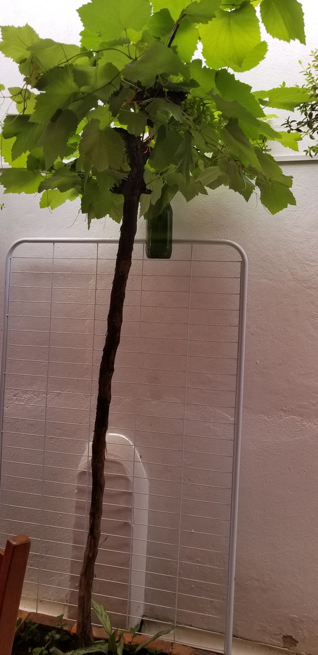 A natureza é linda! Senhor, muito obrigada. 🙏