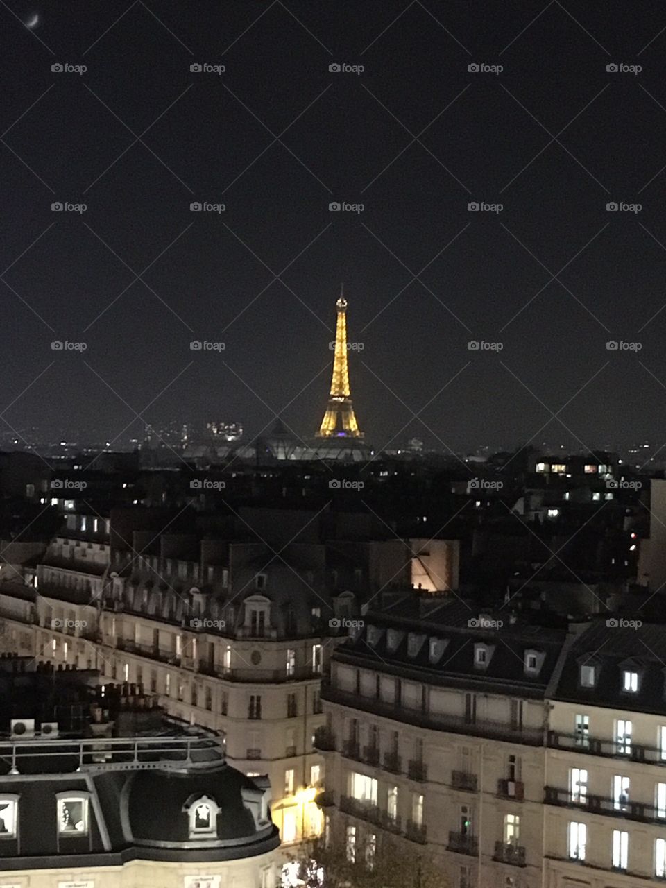 Eiffel Tower Paris roof tops