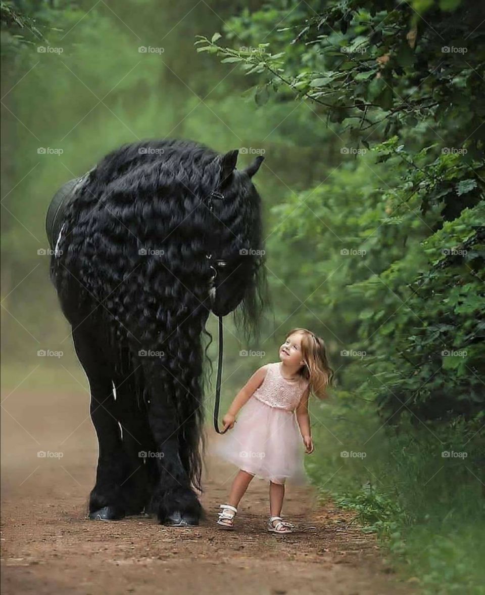 black horse and little girl view