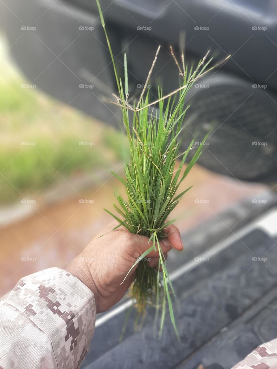 Please help me, I am very poor, I need your support and God is in need