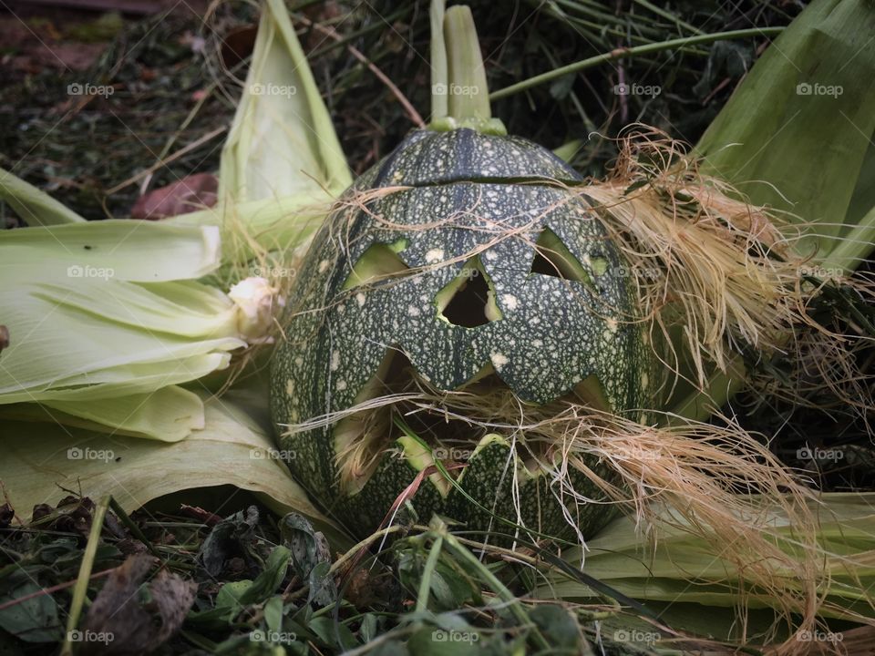 Halloween pumpkin scary face
