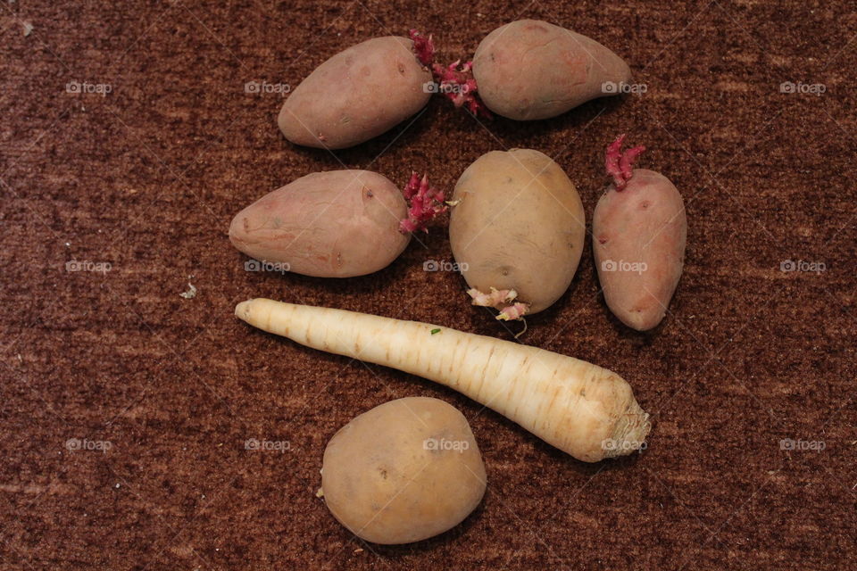Potatoes and white long vegetable on a brown background waiting to be cut as ingredients