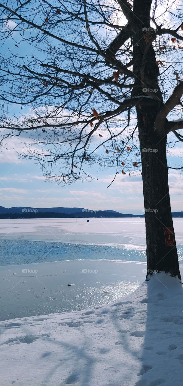 The beauty of Winter!