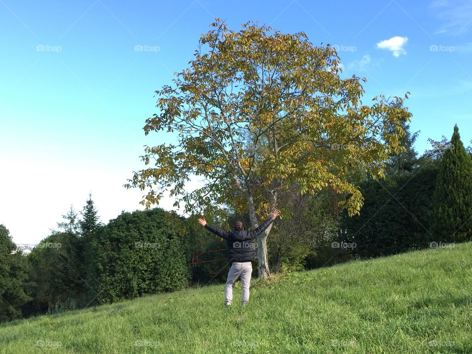 Big tree and a man in autumn. Big tree and a man in autumn