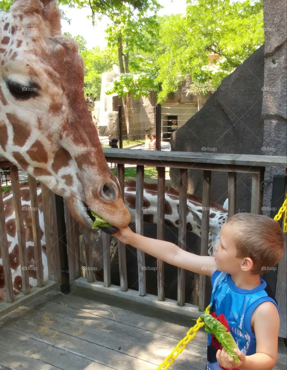 where did my hand go?