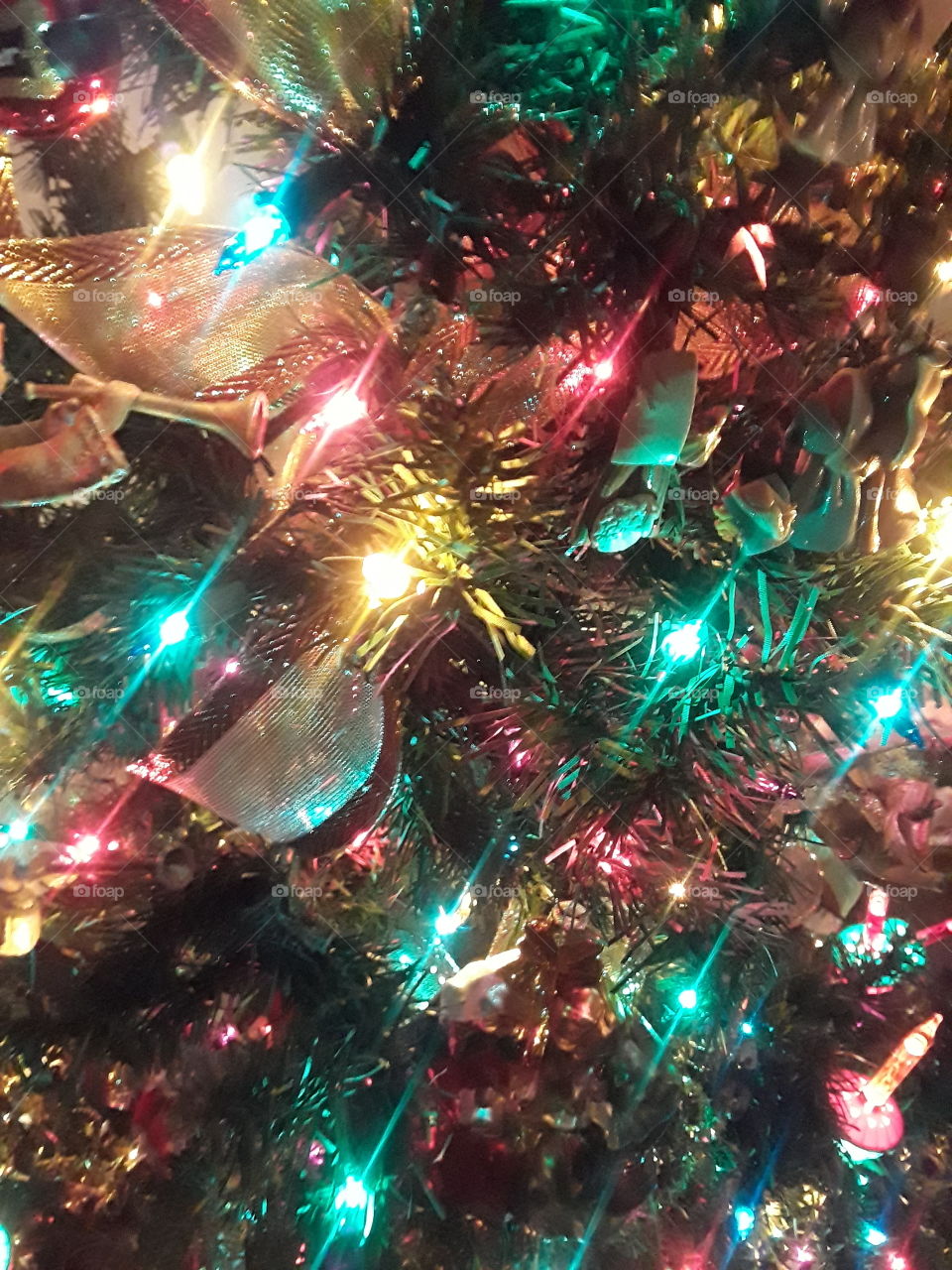 Close Up Christmas Tree