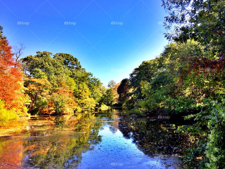 Autumn bliss