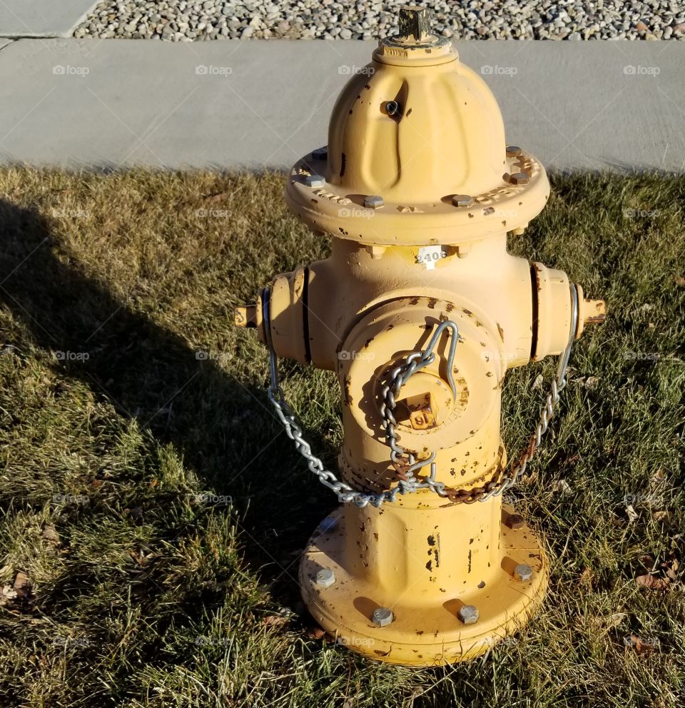 firehydrant in subdivision