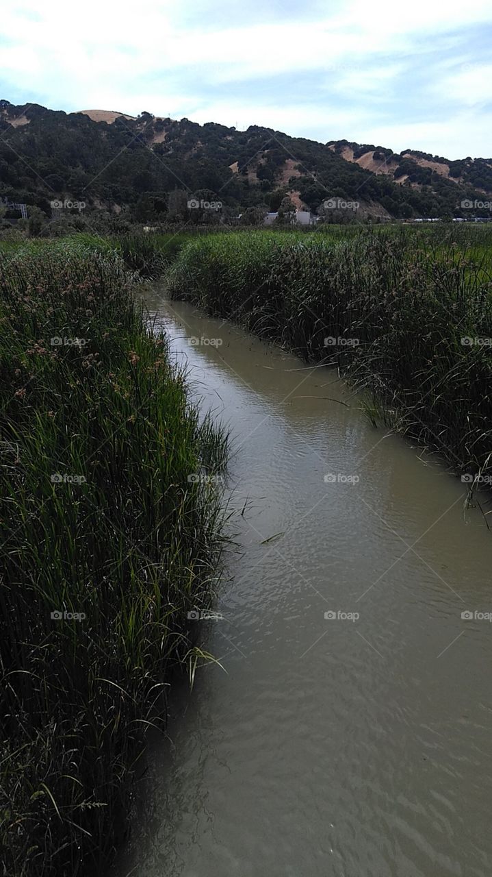 You never step in the same river twice.