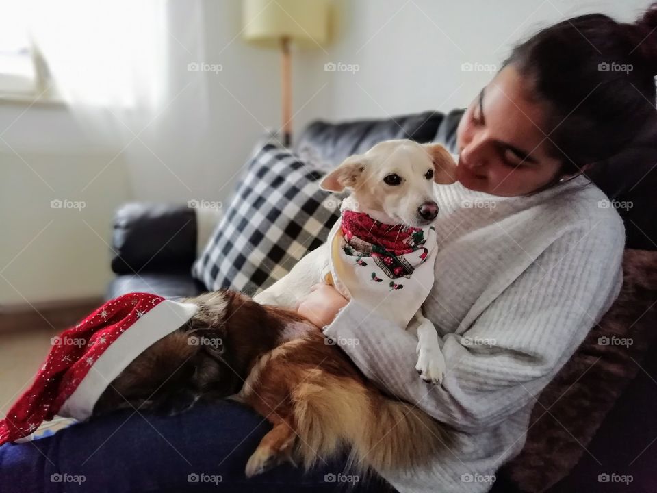 Girl and her dogs