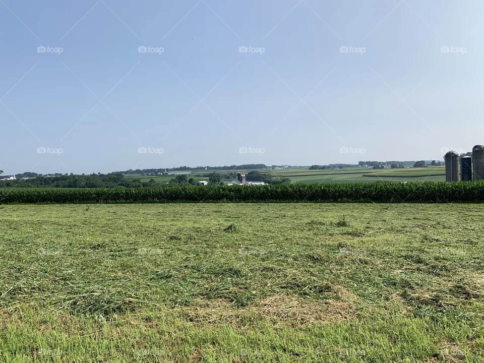 Farm